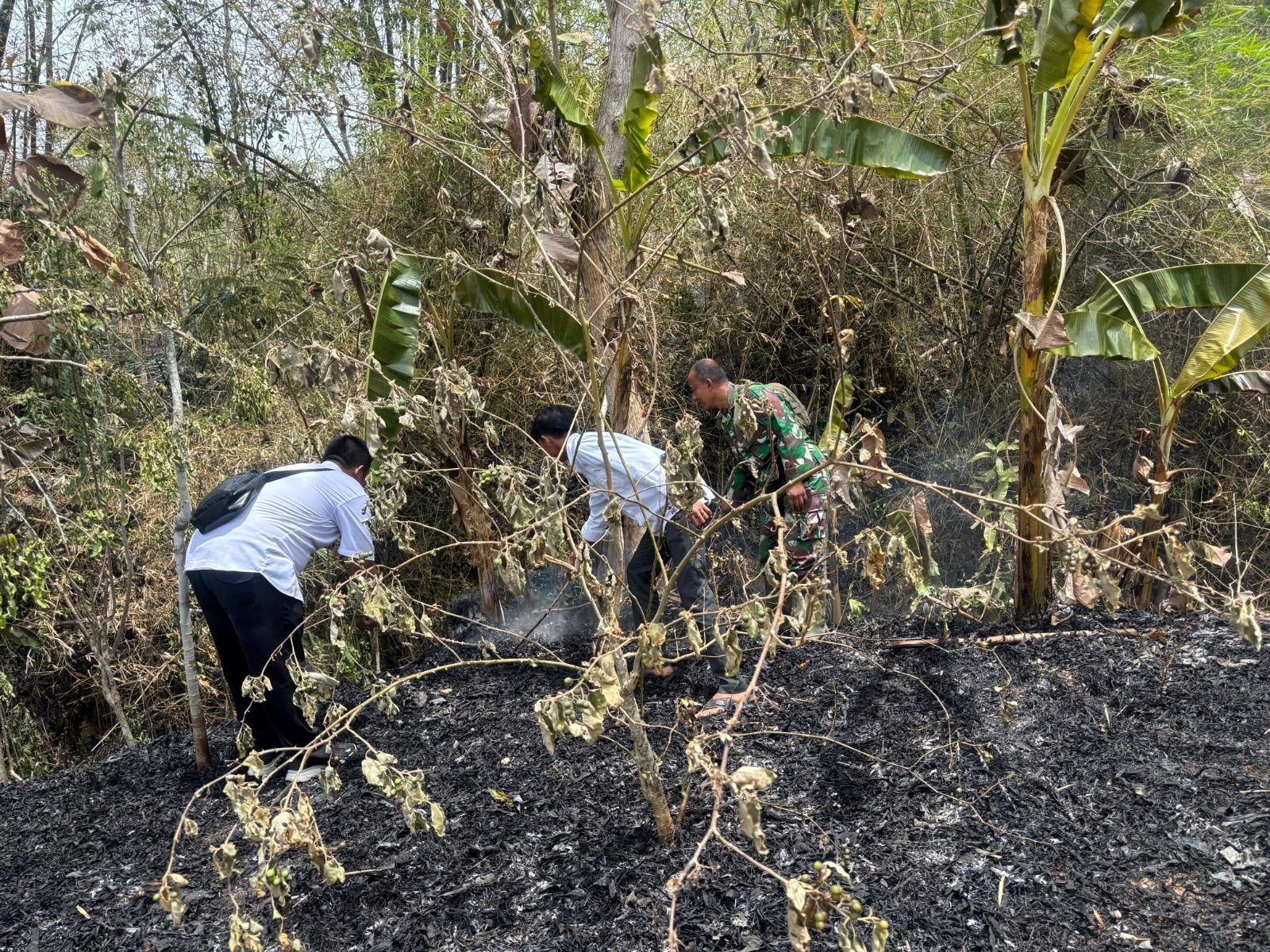 FOTO 8 Okt_Petugas segera merespon laporan warga adanya karhutla di Desa Ngadirenggo, Kecamatan Pogalan, Kabupaten Trenggalek, Jawa Timur. bpbdkabupaten